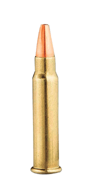 17 HMR JACKETED HOLLOW POINT | Aguila Ammunition